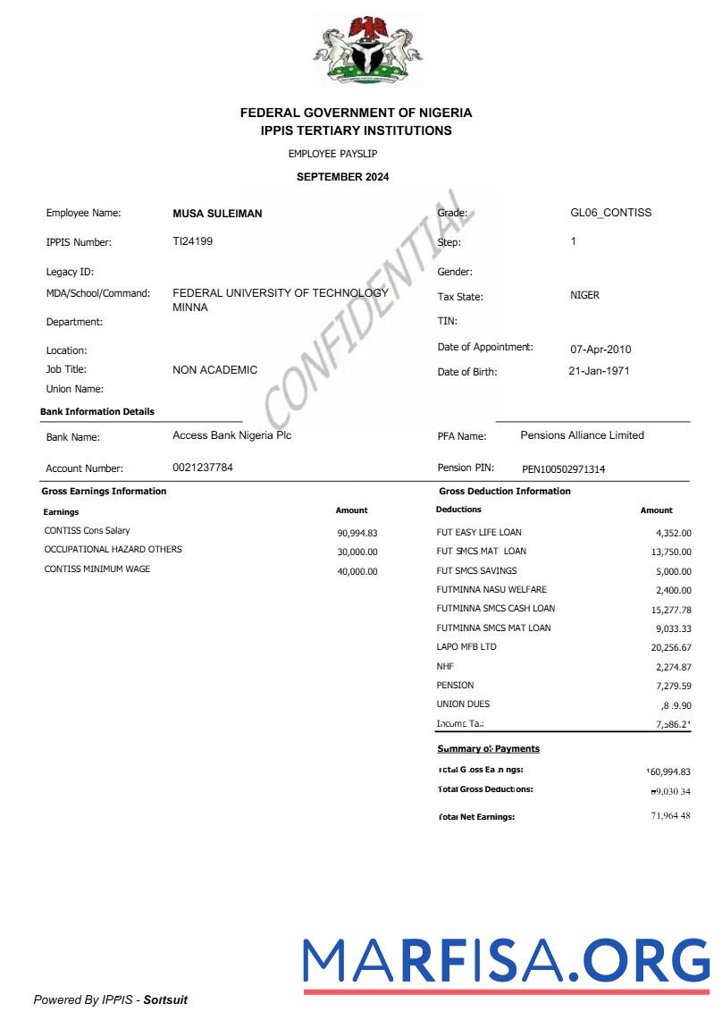 Realistic Federal Government of Nigeria employee payslip template
